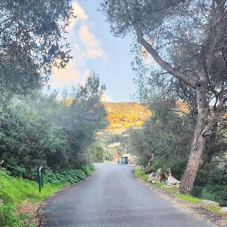 Le Mas D'Angeline, Vue Mer, Jardin Commun, Parking, Voiture Requise, 10 Min En Voiture De Monaco, Route Etroite, Pente Raide, Croisement Limite, Sea View, Shared Garden, Parking, Car Required, 10 Min Drive From Monaco, Narrow Steep Road, Limited Pass Beausoleil Eksteriør billede