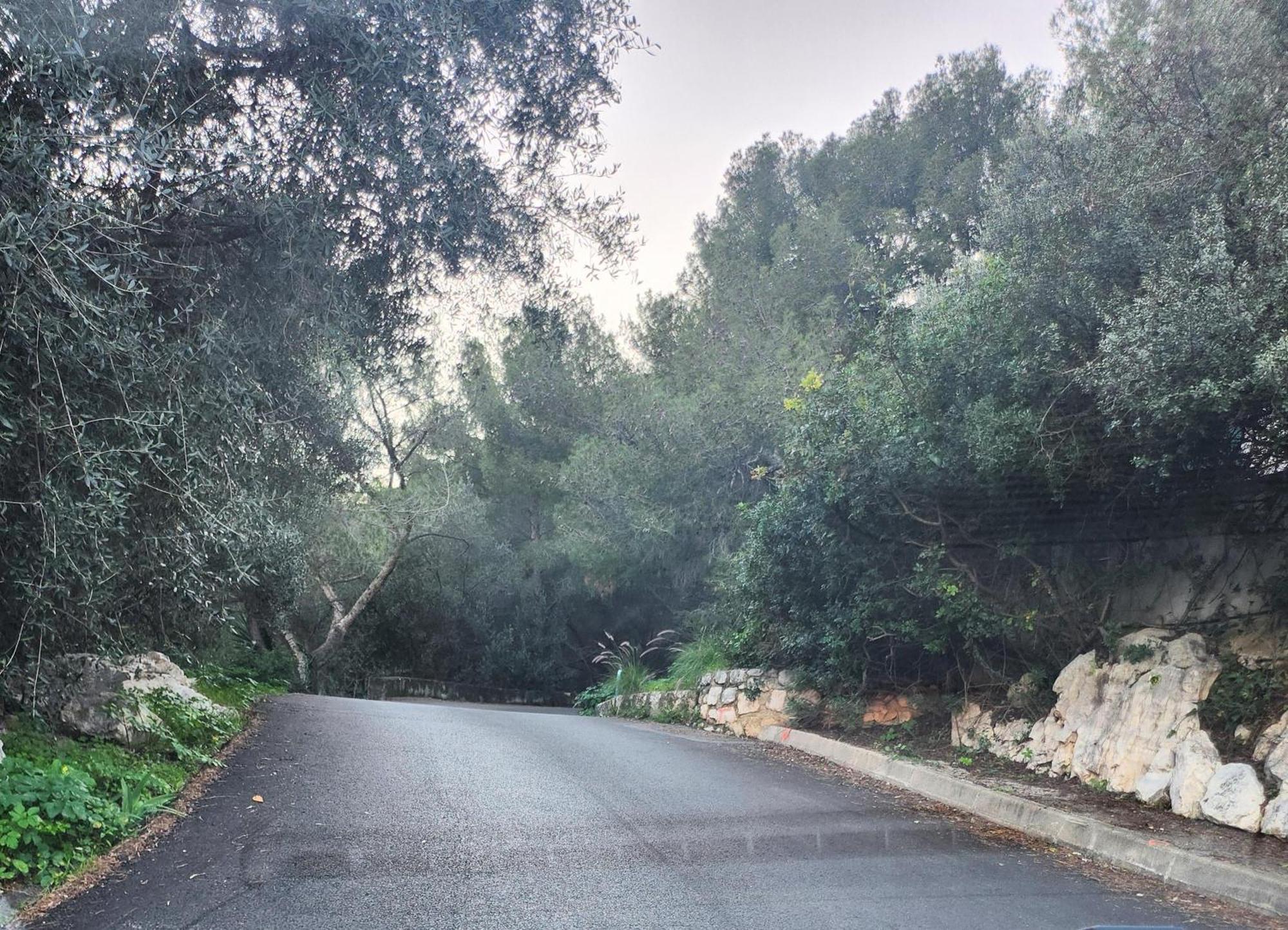 Le Mas D'Angeline, Vue Mer, Jardin Commun, Parking, Voiture Requise, 10 Min En Voiture De Monaco, Route Etroite, Pente Raide, Croisement Limite, Sea View, Shared Garden, Parking, Car Required, 10 Min Drive From Monaco, Narrow Steep Road, Limited Pass Beausoleil Eksteriør billede