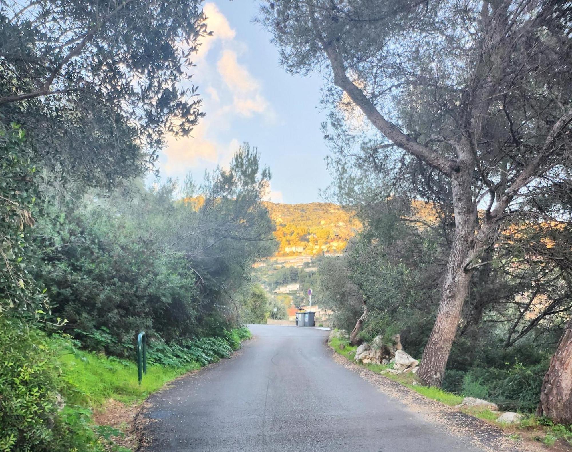 Le Mas D'Angeline, Vue Mer, Jardin Commun, Parking, Voiture Requise, 10 Min En Voiture De Monaco, Route Etroite, Pente Raide, Croisement Limite, Sea View, Shared Garden, Parking, Car Required, 10 Min Drive From Monaco, Narrow Steep Road, Limited Pass Beausoleil Eksteriør billede